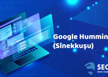 Google Hummingbird (Sinekkuşu) Güncellemesi