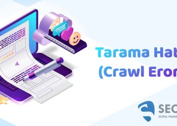 Tarama Hatası (Crawl Error)