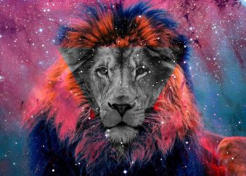 Galatasaraylı Taraftarlar Telegram Grubu